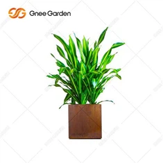 Qsari tal-ġnien tal-ġnien tal-metall Rusty Corten Steel