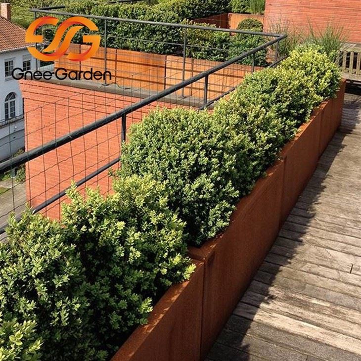 corten steel planter bamboo