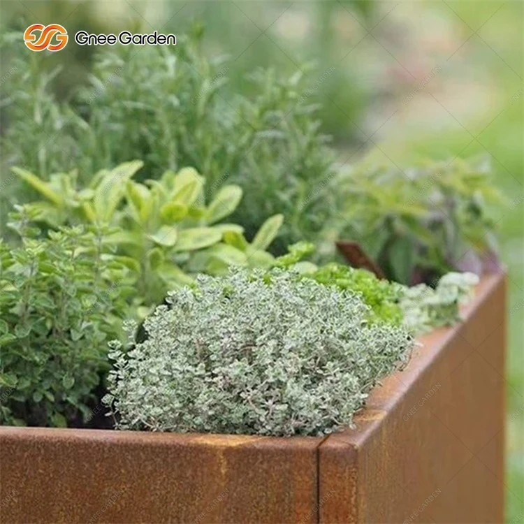 Outdoor Corten Steel Planter Boxes Outdoor Corten Steel Planter Boxes